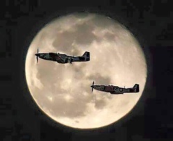 Una política nauseabunda que ha desquiciado el mundo Una política nauseabunda que ha desquiciado el mundo