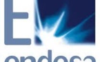 ENDESA y los políticos forajidos