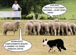 HAY PSICÓPATAS PEORES QUE LOS POLITICOS HAY PSICÓPATAS PEORES QUE LOS POLITICOS