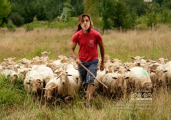 PREOCUPACIÓN ANTE UNA ANDALUCÍA MAL PASTOREADA PREOCUPACIÓN ANTE UNA ANDALUCÍA MAL PASTOREADA