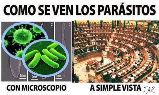 Las autonomías: criaderos de parásitos en España Las autonomías: criaderos de parásitos en España