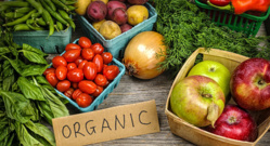 ¿POR QUÉ TRIUNFA LA INGENIERÍA SOCIAL? ¿POR QUÉ TRIUNFA LA INGENIERÍA SOCIAL?