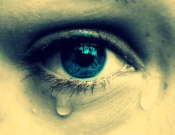 EL COLAPSO DE OCCIDENTE EL COLAPSO DE OCCIDENTE