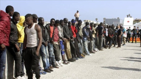 INMIGRANTES INMIGRANTES