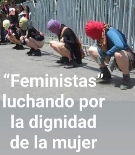 Una de las muchas fotos contra los abusos del feminismo radical que circulan por Internet