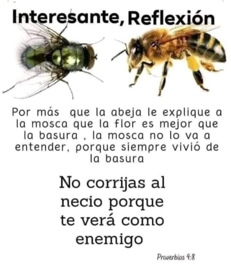 La democracia en España ha sido asesinada por políticos con demasiado poder La democracia en España ha sido asesinada por políticos con demasiado poder