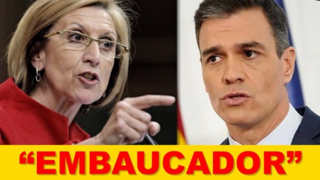 Inhabilitar a Pedro Sánchez Inhabilitar a Pedro Sánchez