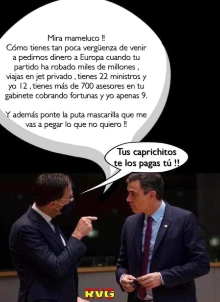 LA “PATOCRACIA” ESPAÑOLA LA “PATOCRACIA” ESPAÑOLA