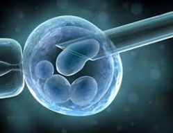 Identificado el gen de la esclavitud política, el que induce a votar siempre al mismo partido Identificado el gen de la esclavitud política, el que induce a votar siempre al mismo partido