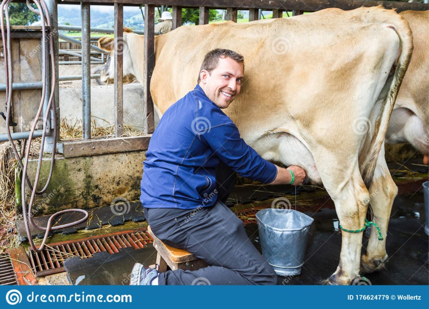 *LAS VACAS NO DAN LECHE* *LAS VACAS NO DAN LECHE*