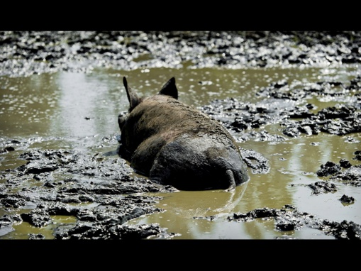 Rodrigo Rato detenido. Parece como si Dios se hubiera marchado de España Rodrigo Rato detenido. Parece como si Dios se hubiera marchado de España
