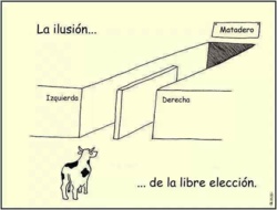 La gran estafa de las elecciones en España La gran estafa de las elecciones en España
