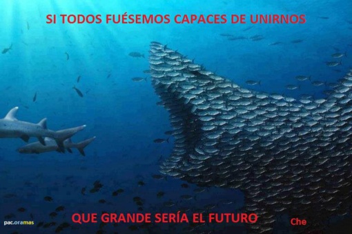 El PP, sin ideología ni valores, se resquebraja El PP, sin ideología ni valores, se resquebraja