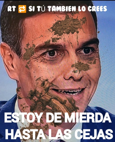 Una de las muchas imágenes anti Sánchez que circulan por las redes Una de las muchas imágenes anti Sánchez que circulan por las redes