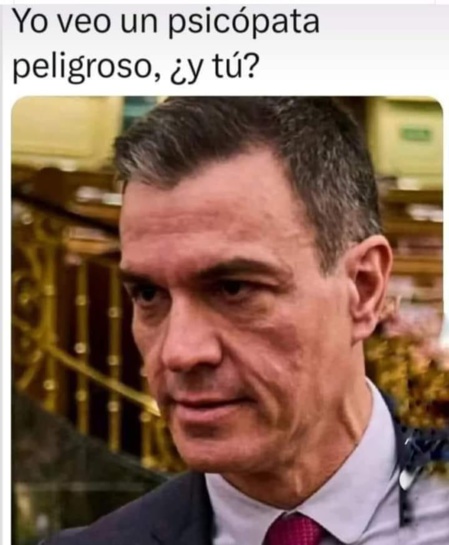 Pedro Sánchez, un pobre hombre desconcertado ante el fracaso y el rechazo Pedro Sánchez, un pobre hombre desconcertado ante el fracaso y el rechazo