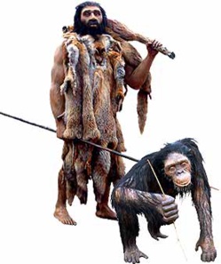 LA VIOLENCIA DOMÉSTICA I LA VIOLENCIA DOMÉSTICA I