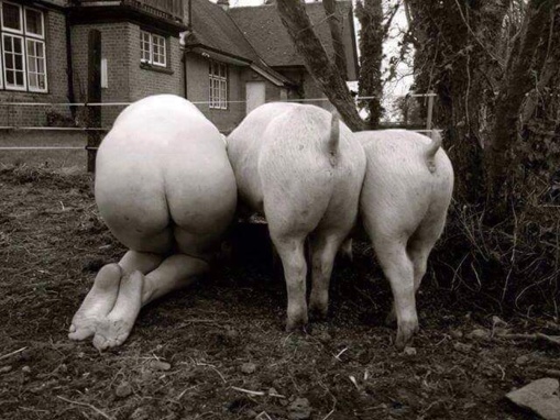 La pocilga española La pocilga española