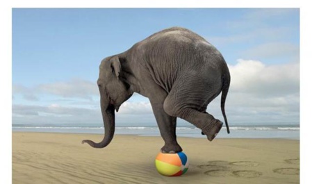 Democracia en tenguerengue y carcomida por la corrupción Democracia en tenguerengue y carcomida por la corrupción