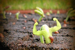 UNA TERCERA ESPAÑA UNA TERCERA ESPAÑA