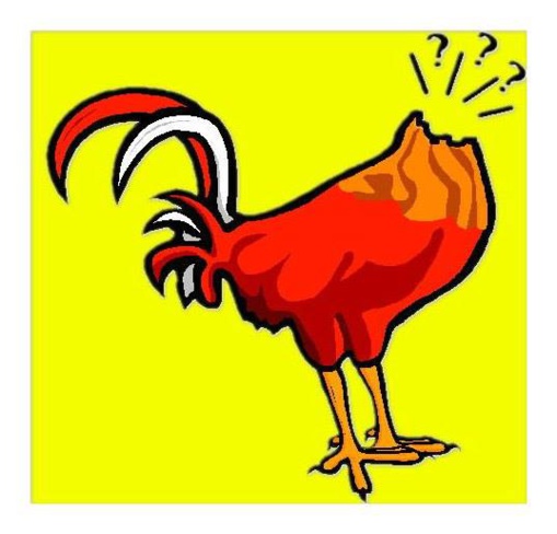 La España delirante de los políticos: Como pollos sin cabeza La España delirante de los políticos: Como pollos sin cabeza