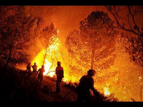 Fuego contra fuego: los políticos también destruyen los bosques de España