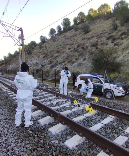 Muchos expertos creen que un rail mal soldado y el deterioro de las vías fueron las causas directas del desastre ferroviario de Adamuz