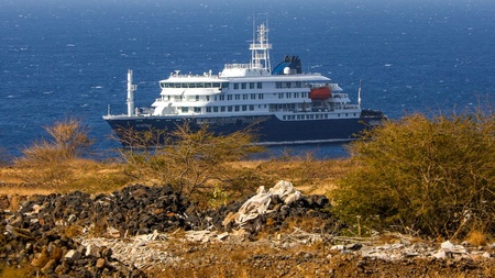 El crucero del hantavirus ha desatado el pánico en un mundo sin confianza en sus líderes