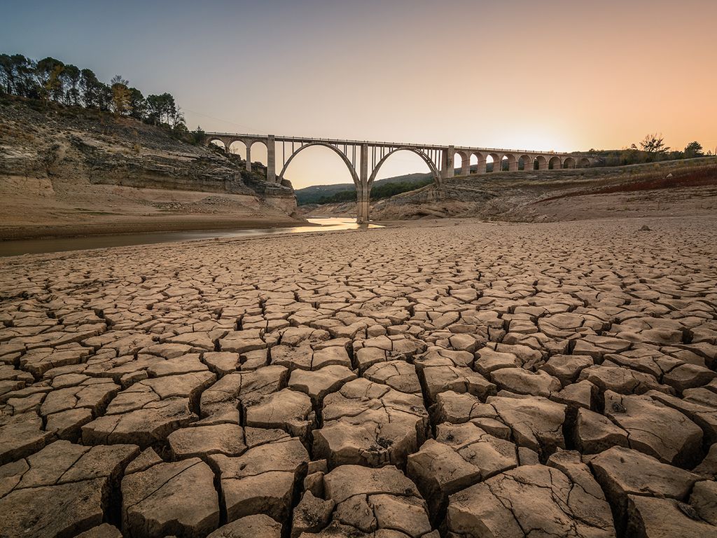 La sequía destroza España, pero es un problema solucionable, que los políticos no quieren abordar