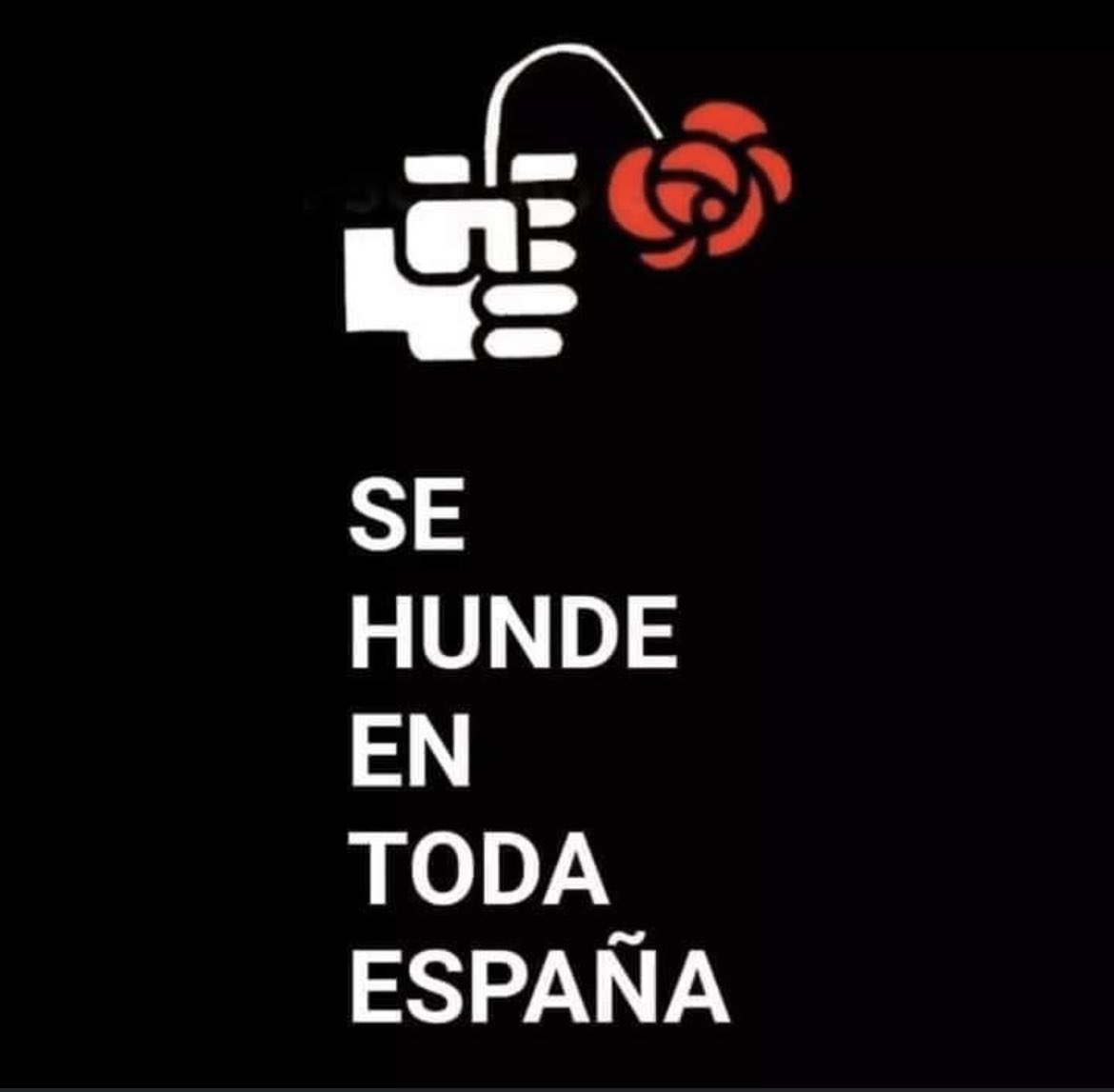 El socialismo, contaminado y degradado por el sanchismo, se hunde en España. La imagen es una de las miles que denuncian al PSOE actual en España