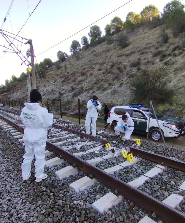 Muchos expertos creen que un rail mal soldado y el deterioro de las vías fueron las causas directas del desastre ferroviario de Adamuz