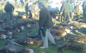 La inmoralidad de la política (artículo recomendado)