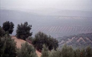 La patraña del cambio climático