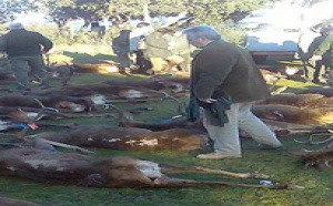 España, cada día más corrupta y tercermundista