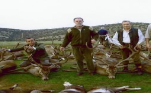 Bermejo dimite: gran noticia para la democracia y la regeneración de España