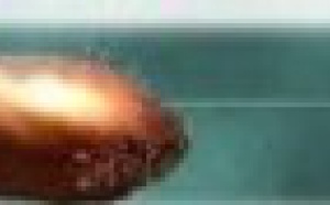 LA INFLUENCIA DE VOTO EN BLANCO