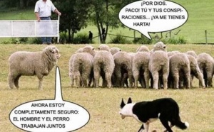 España, el país de Europa que mas rechaza a sus políticos