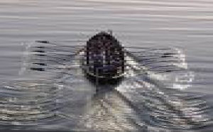 Empleados públicos españoles contra nipones (Humor de fin de semana)