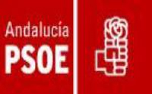 Concejal socialista abandona su partido por haber aprobado la ley del aborto