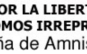 Los europeos dicen "No" a la "Inquisición Digital" de Zapatero