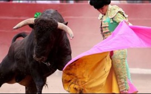 El extremismo catalán quiere prohibir la fiesta de los toros