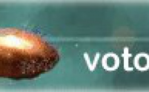 Falsedades en torno al Voto en Blanco