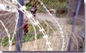 LA RIADA INMIGRANTE DE LA NEGRITUD