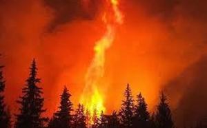 España, un país sin ética, plagado de chorizos y saboteadores