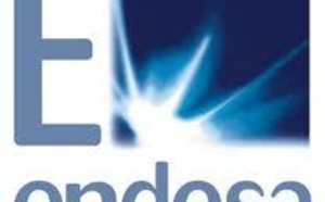 ENDESA y los políticos forajidos