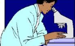 España destruye su investigación