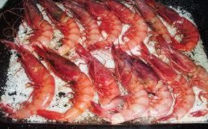 España: pelagambas y pagagambas