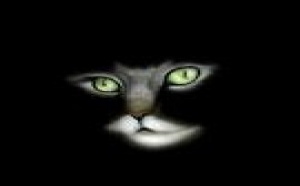 Gato blanco o gato negro...