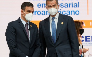 El rey Felipe y Pedro Sánchez luciendo el pin de la sospechosa Agenda 2030