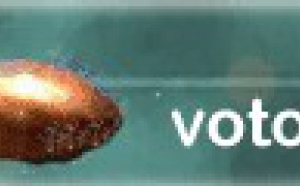 España: silencio cómplice y cobarde