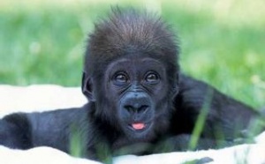 Humor de fin de semana: 'Cosas de vascos'